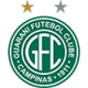 Guarani Futebol Clube