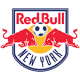 New York Red Bulls