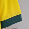 Maillot Bresil Retro Domicile 1970/1971