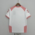 Maillot Danemark Limited Edition White I 2022/2023