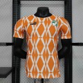 Maillot Match Cote DIvoire Domicile 2023/2024