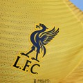 Maillot Match Liverpool Gardien De But Yellow 2021/2022