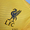 Maillot Match Liverpool Gardien De But Yellow 2021/2022