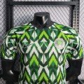 Maillot Match Nigeria Green I 2022/2023