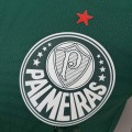 Maillot Match Palmeiras Domicile 2022/2023