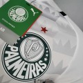 Maillot Match Palmeiras Exterieur 2021/2022