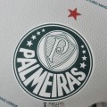Maillot Match Palmeiras Exterieur 2022/2023