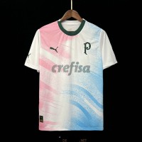 Maillot Palmeiras Cancer Awareness Gardien De But 2023/2024