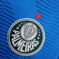 Maillot Palmeiras Gardien De But Blue 2022/2023