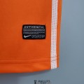 Maillot Pays Bas Retro Domicile 2010/2011