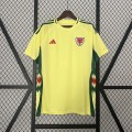 acheter Maillot Pays De Galles Exterieur 2024/2025