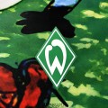 Maillot Werder Bremen Special Edition Green 2023/2024