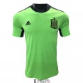 Maillot Espagne Gardien De But Green 2021/2022