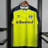 Maillot Gremio Training Suit Green 2022/2023