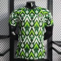 Maillot Match Nigeria Green I 2022/2023