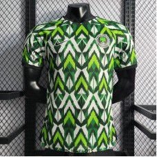 Maillot Match Nigeria Green I 2022/2023