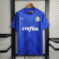 Maillot Palmeiras Gardien De But Blue 2023/2024