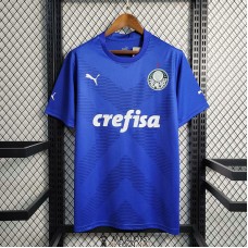 Maillot Palmeiras Gardien De But Blue 2023/2024