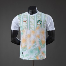 Maillot Match Cote DIvoire Exterieur 2026/2027