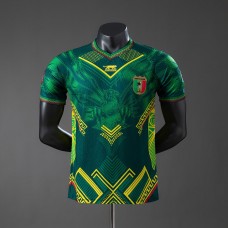 Maillot Match Mali Exterieur 2025/2026