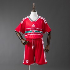 Maillot Pays De Galles Enfant Domicile 2026/2027