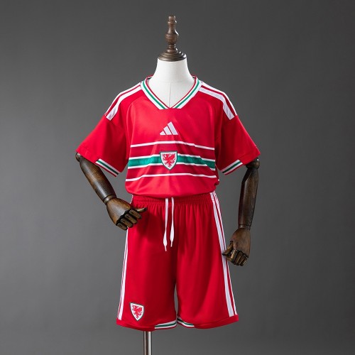 Maillot Pays De Galles Enfant Domicile 2026/2027 Maillot Pays De Galles Enfant Domicile 2026/2027