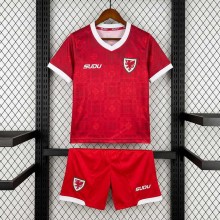 Maillot Pays De Galles Enfant Domicile 2027
