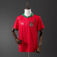Maillot Pays De Galles Retro Domicile 1994
