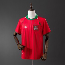 Maillot Pays De Galles Retro Domicile 1994