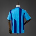 Maillot Southampton FC Retro Exterieur 1993/1994 Maillot Southampton FC Retro Exterieur 1993/1994
